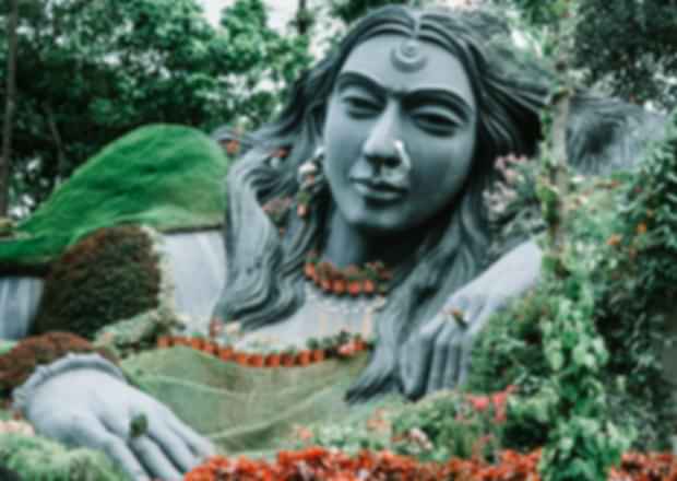 Chikmagalur Itinerary For 2 Nights 3 Days – Into Nature!