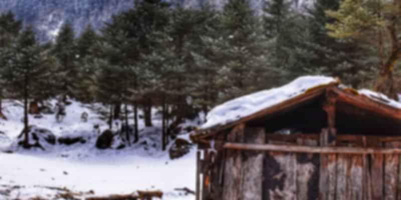 A house surrounded by snowy land during winter, one of the best times to visit the northeast