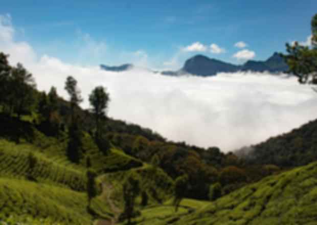 Honeymoon Itinerary To Kerala – Start your Forever In God’s Own Country!