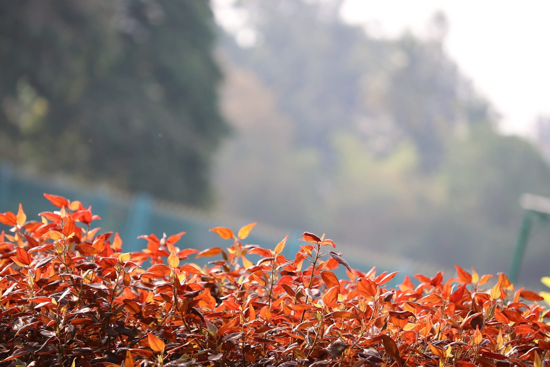 Day Outings in Bangalore – A Perfect Weekend Getaway!