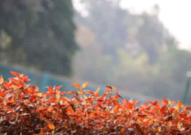 Day Outings in Bangalore – A Perfect Weekend Getaway!