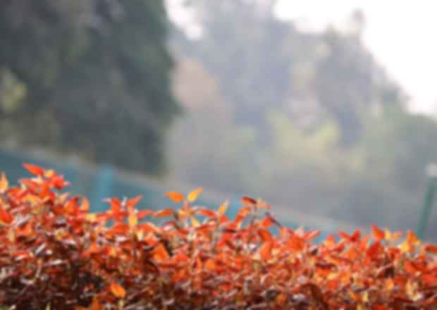 Day Outings in Bangalore – A Perfect Weekend Getaway!