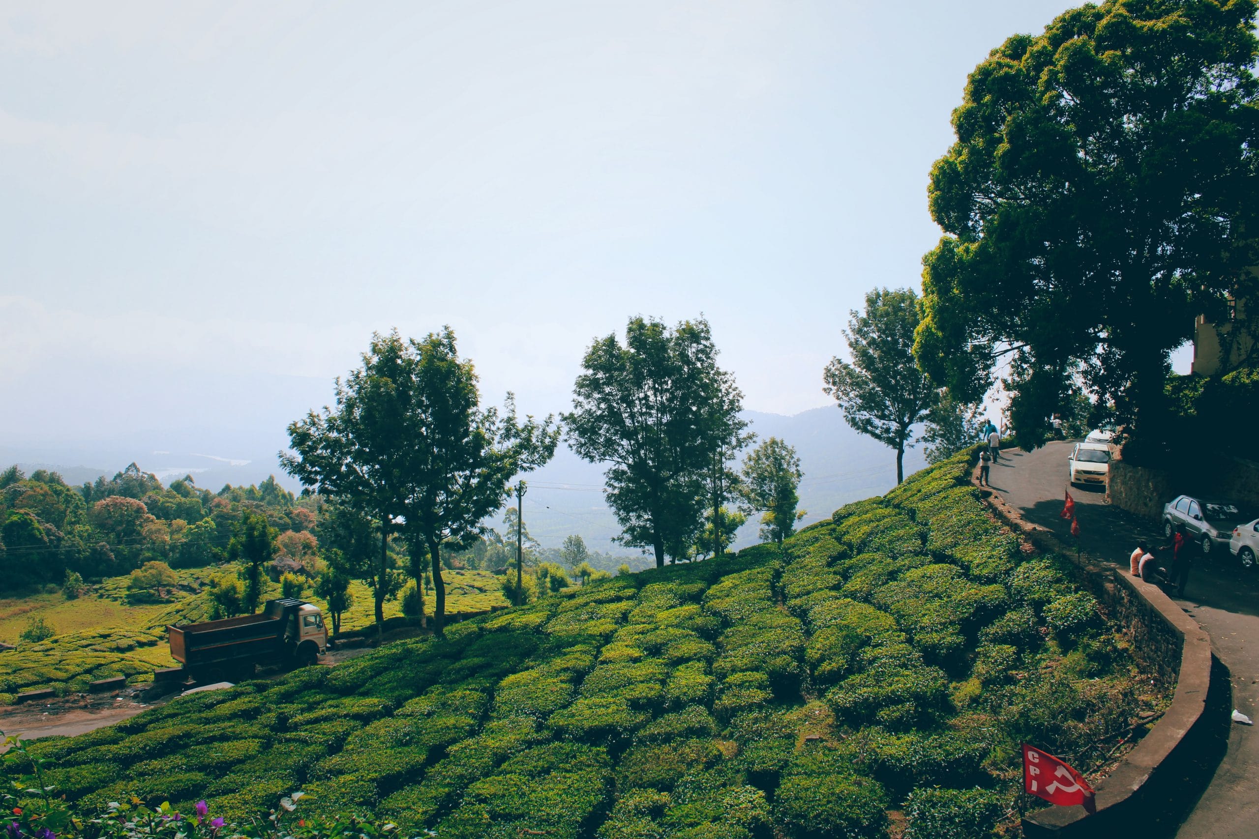 7 Nights 8 Days Kerala Tour Plan – Escape To Kerala With This Awesome Itinerary!