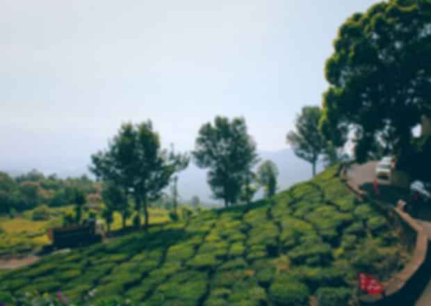 7 Nights 8 Days Kerala Tour Plan – Escape To Kerala With This Awesome Itinerary!