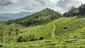 Wonderful Wayanad Itinerary: Get Ready for a Thrilling Trip!