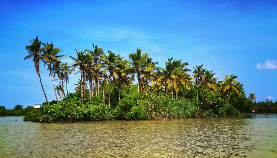 Attractions in Poovar, Kerala – Explore The Unexplored