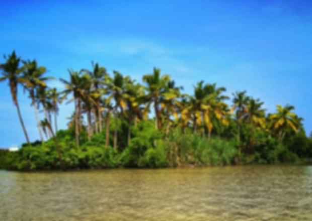 Attractions in Poovar, Kerala – Explore The Unexplored