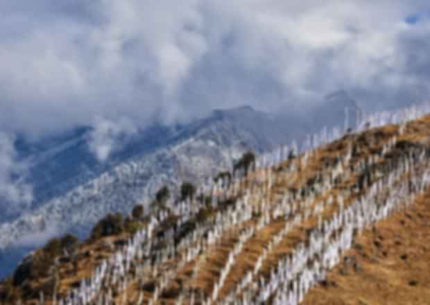 Sikkim itinerary: A week in the land of the snows