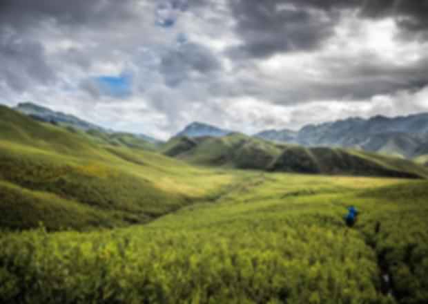 Dzukou Valley: A Serene Haven