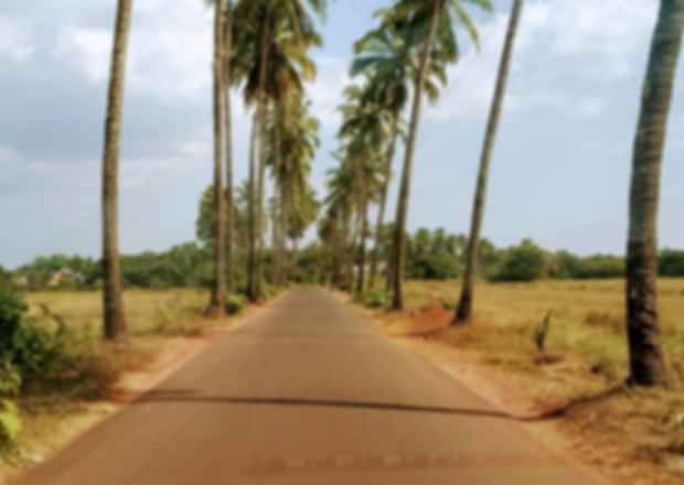 Goa 4-day Itinerary- Around the Beach City