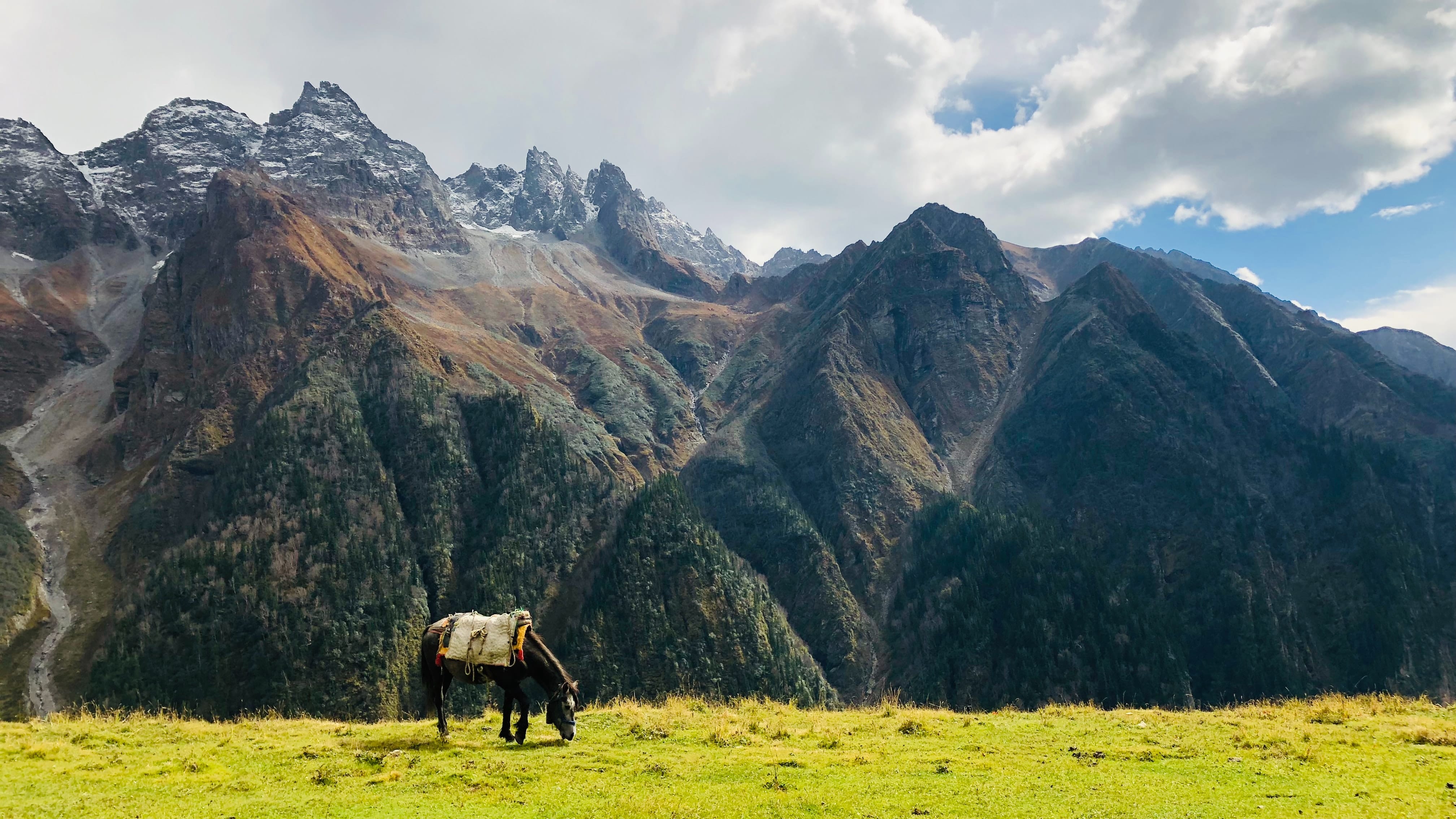 Harmonious Himachal Pradesh Tour Itinerary – 4 Nights and 5 Days