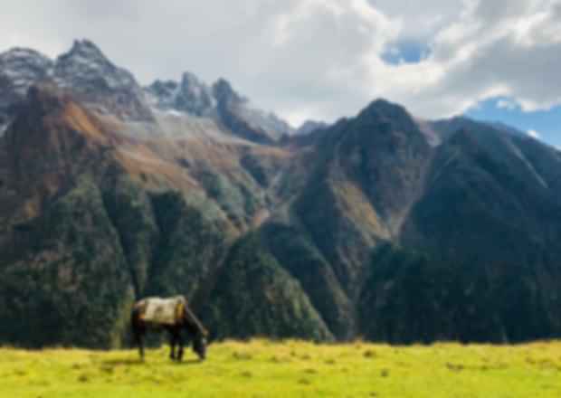 Harmonious Himachal Pradesh Tour Itinerary – 4 Nights and 5 Days