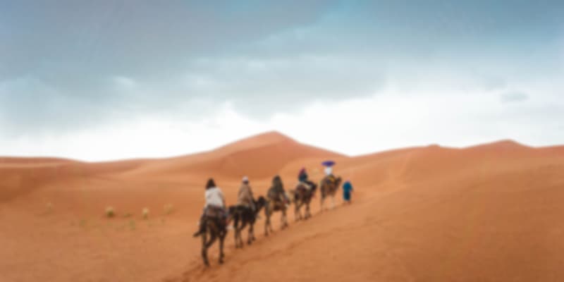 Camel ride in Thar desert