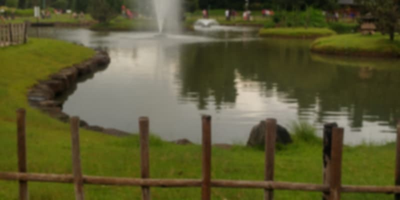 Pune Okayama Friendship Garden, Pune