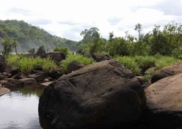Astounding Athirapally Itinerary – 1 Night and 2 Days