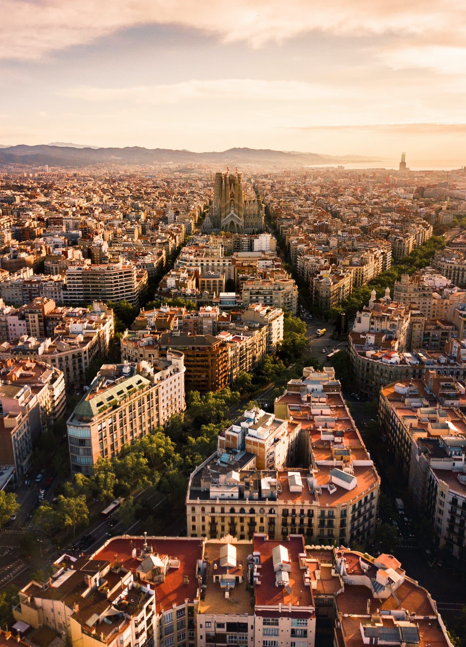 Famous Plazas in Barcelona You Must Visit: Top Squares, History & Best Times to Go
