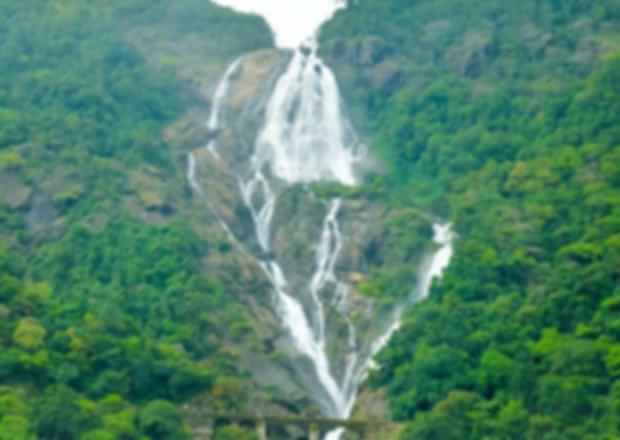 Dudhsagar Waterfalls: Things to know before your visit