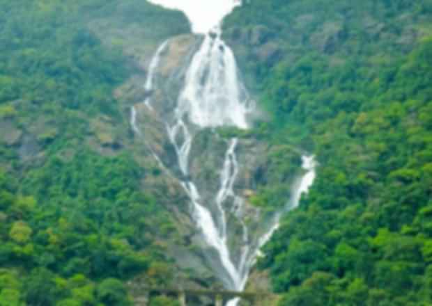 Dudhsagar Waterfalls: Things to know before your visit