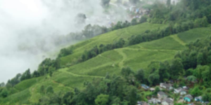 Darjeeling Mountain