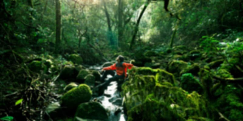 a tourist near mountains