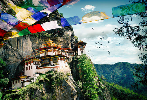 Your Perfect Guide to Paragliding in Bhutan!