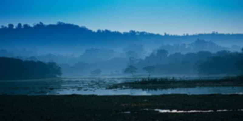 Best gardens to visit in Pune