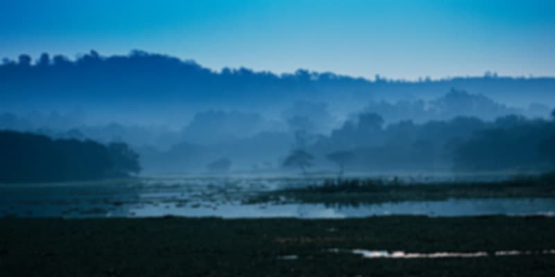 Best gardens to visit in Pune