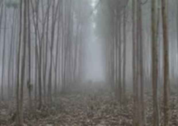 Places To Visit In Lambasingi, Andhra Pradesh.