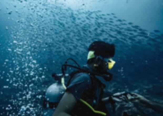 Scuba Diving in Chennai – Underwater Adventure!