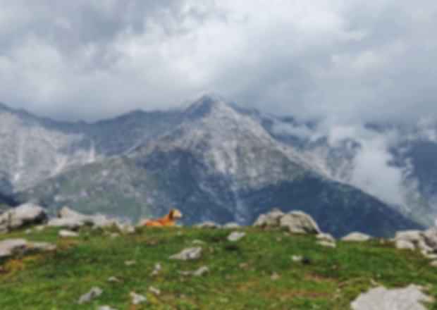 6 Things to do in Tawang, Arunachal Pradesh – Set yourself for more Adventure
