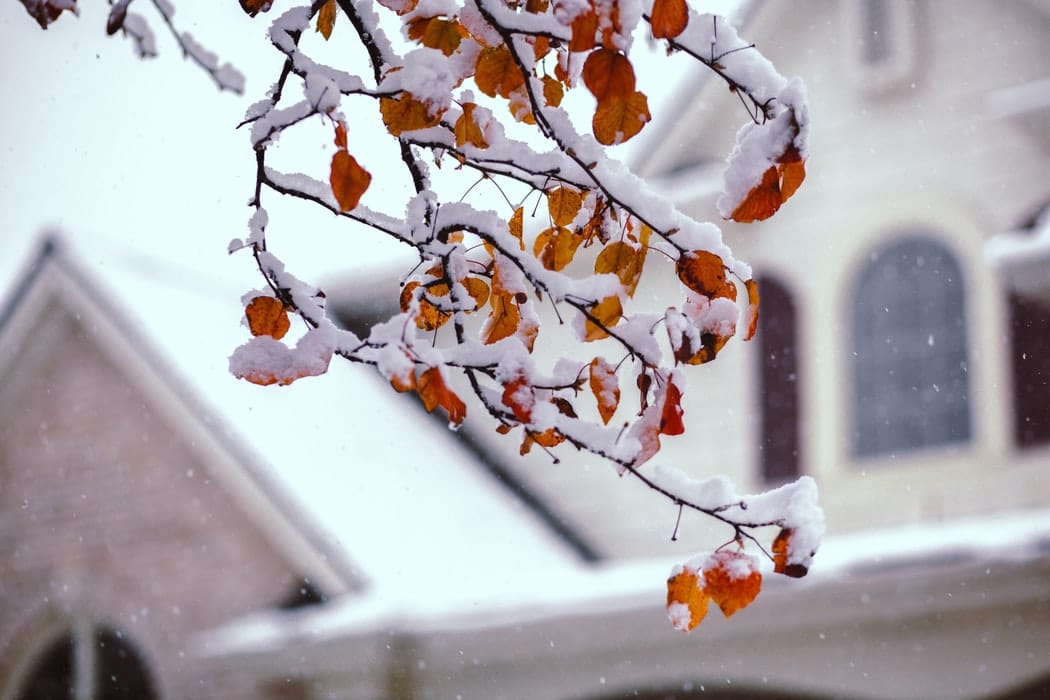 Phoenix in Winter! Explore the best things to do