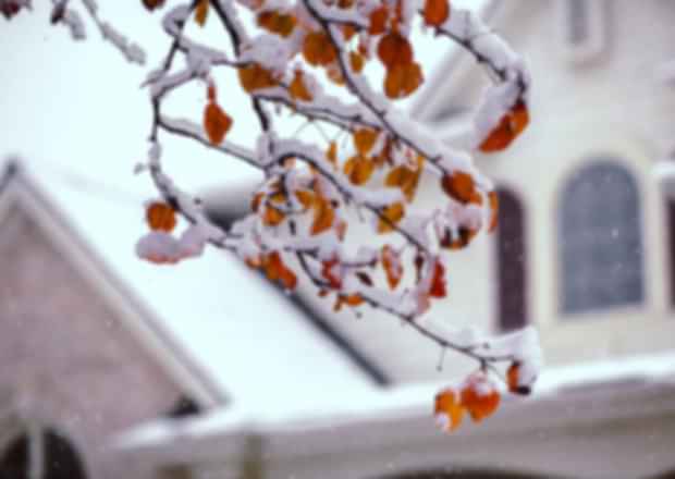 Phoenix in Winter! Explore the best things to do