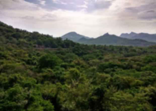 Tumkur’s Nearby Gems: Explore Within 100 km