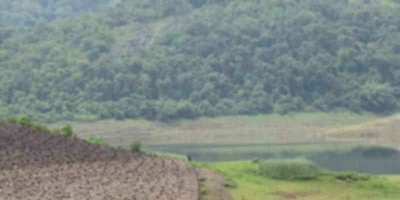 Chimmony Wildlife Sancuary