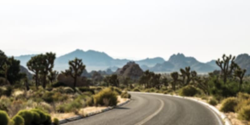 Joshua Tree National Park