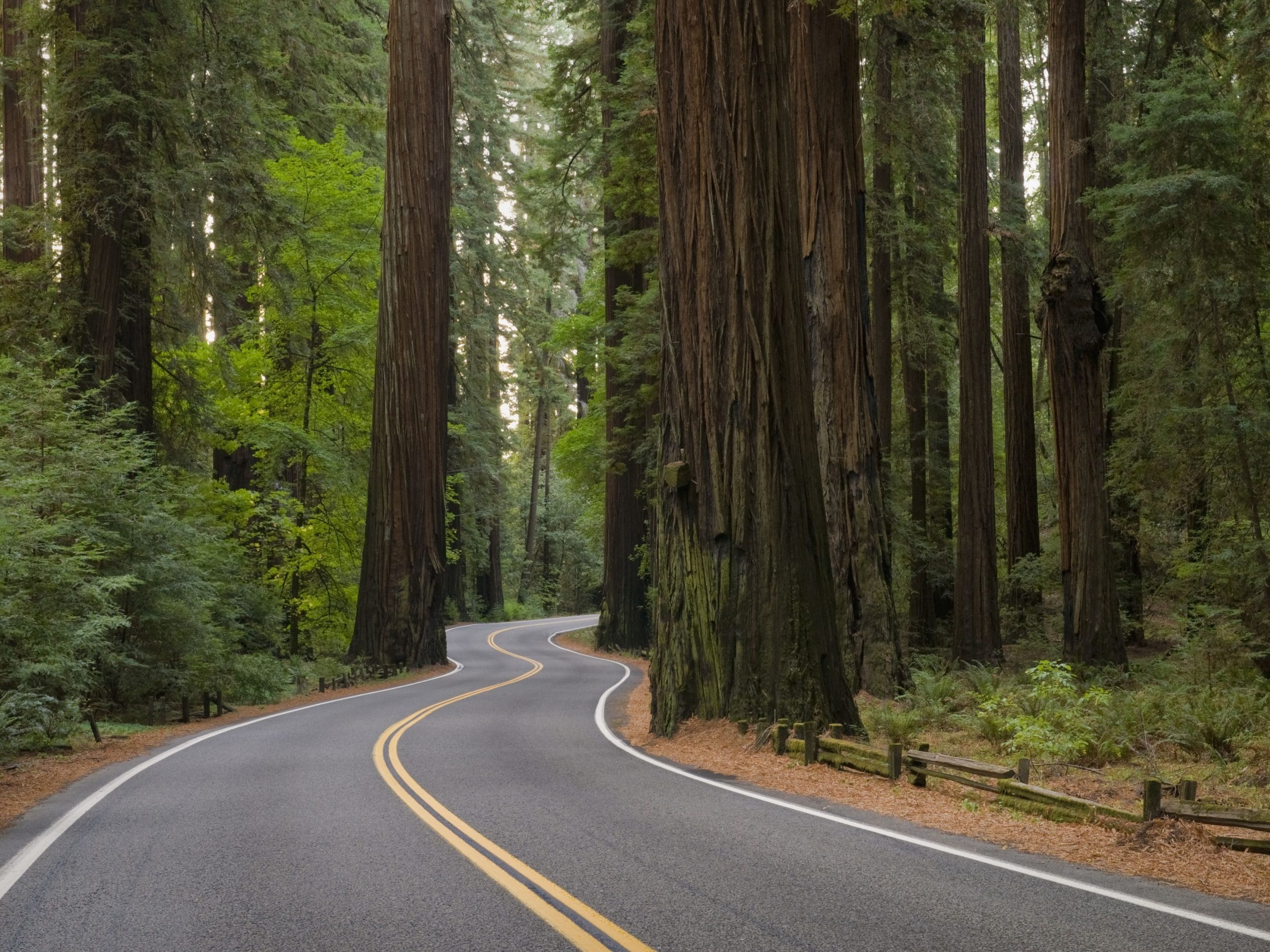 The Top 10 Motorcycle Rides in California