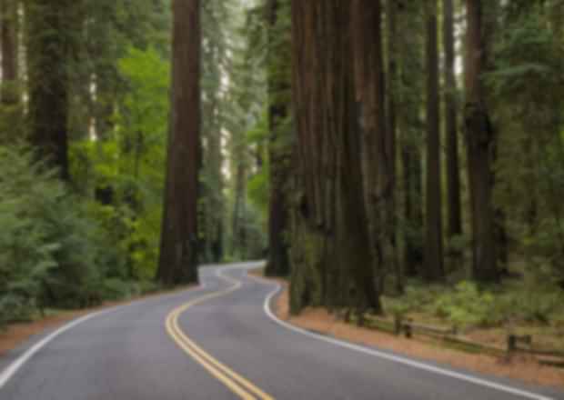 The Top 10 Motorcycle Rides in California
