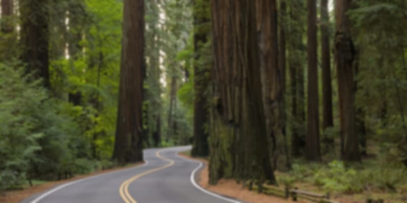 Redwood Highway (California 101)