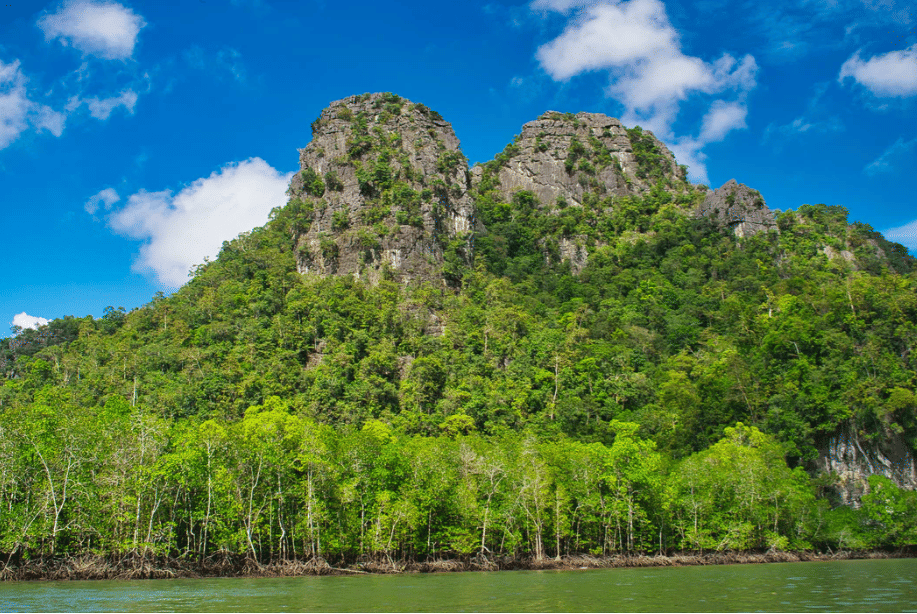 Mangrove Tour in Langkawi – A Complete Guide