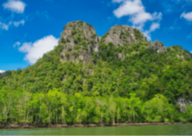 Mangrove Tour in Langkawi – A Complete Guide