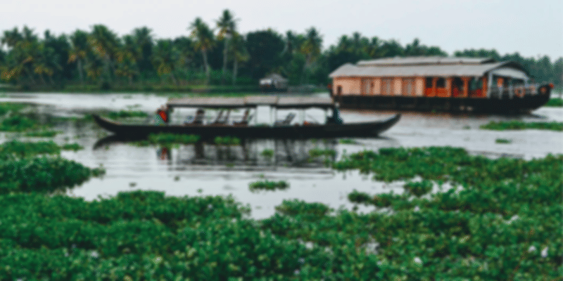 Bolgatty Island, Kerala