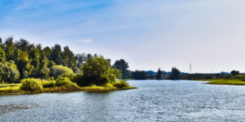 The enchanting views of Karanataka.