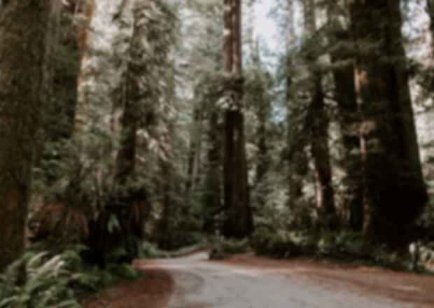 4 Most Beautiful Road Trips to Take in Turkey in 2025