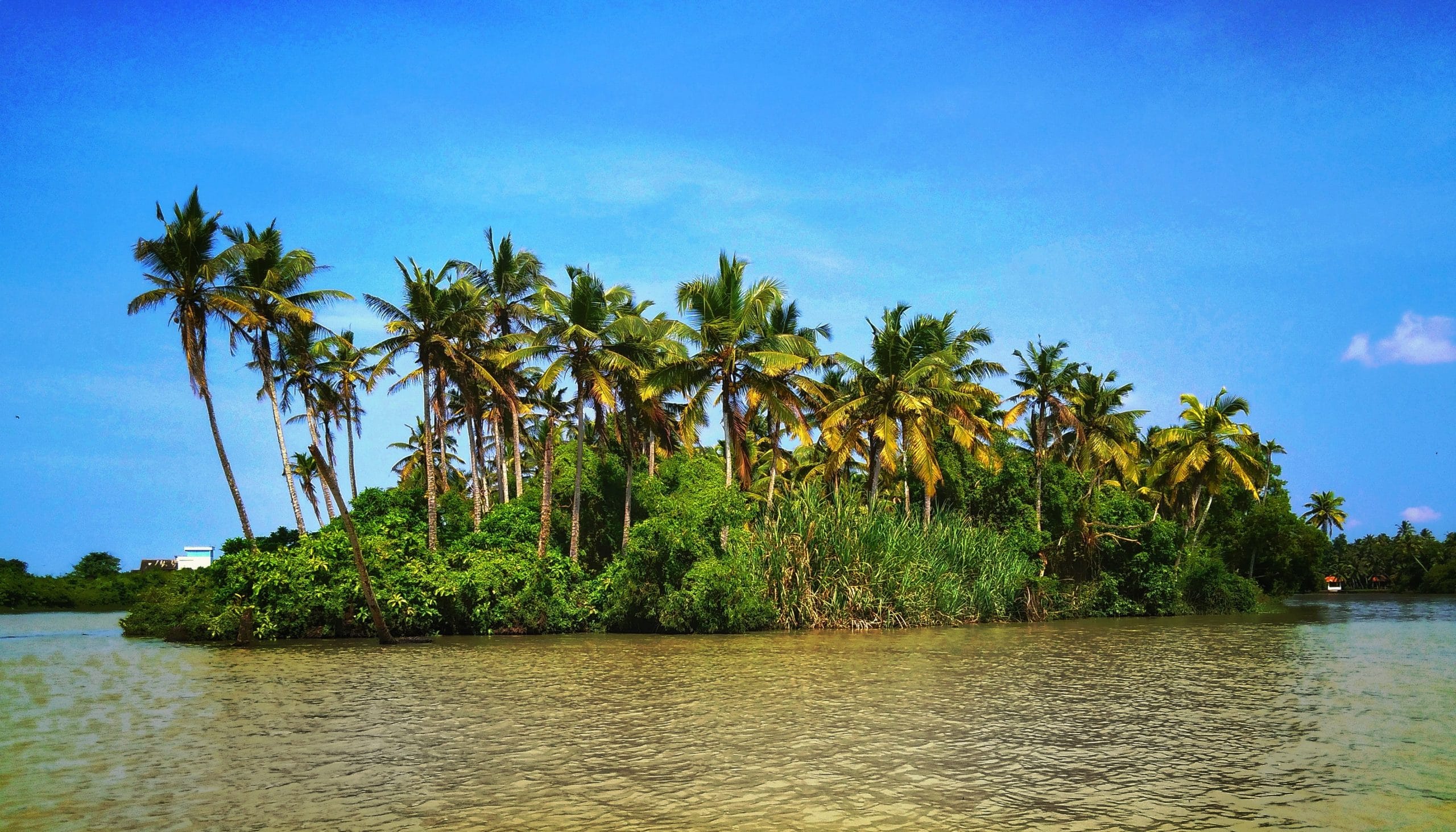 Islands In Kerala – Find The Top 8 Islands Which Are Incredibly Beautiful!