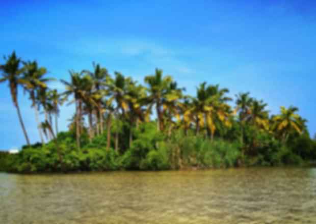 Islands In Kerala – Find The Top 8 Islands Which Are Incredibly Beautiful!