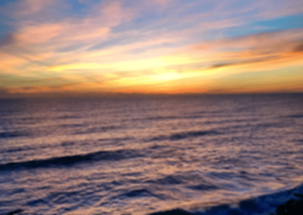 What makes Varkala Cliff Beach in Kerala so special?