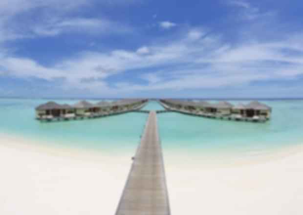 Paradise Island Resort: Delve into the beauty of the Maldives