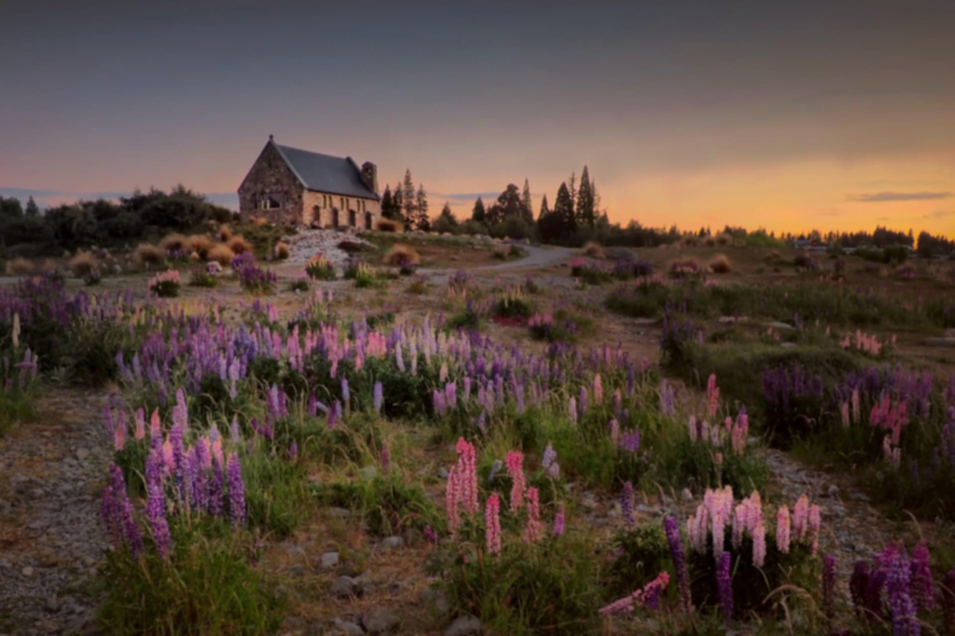 Most Beautiful Towns in New Zealand That You Should Not Miss