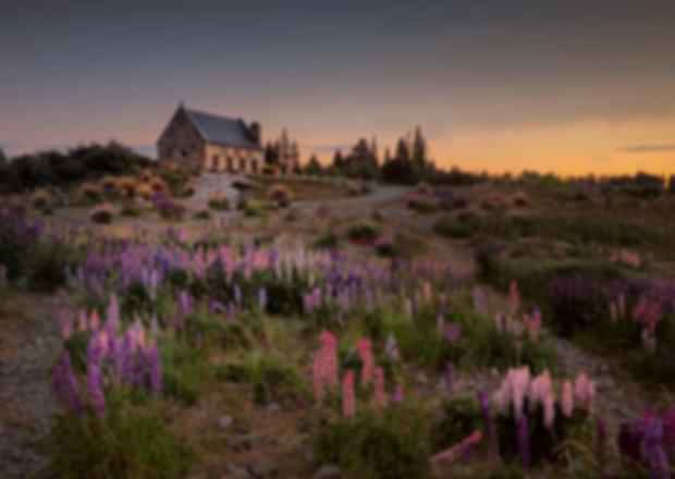 Most Beautiful Towns in New Zealand That You Should Not Miss
