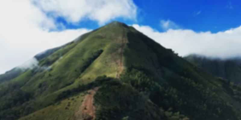 Meesapuli Mala